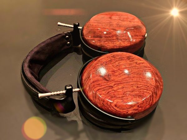 ZMF - LTD Vérité