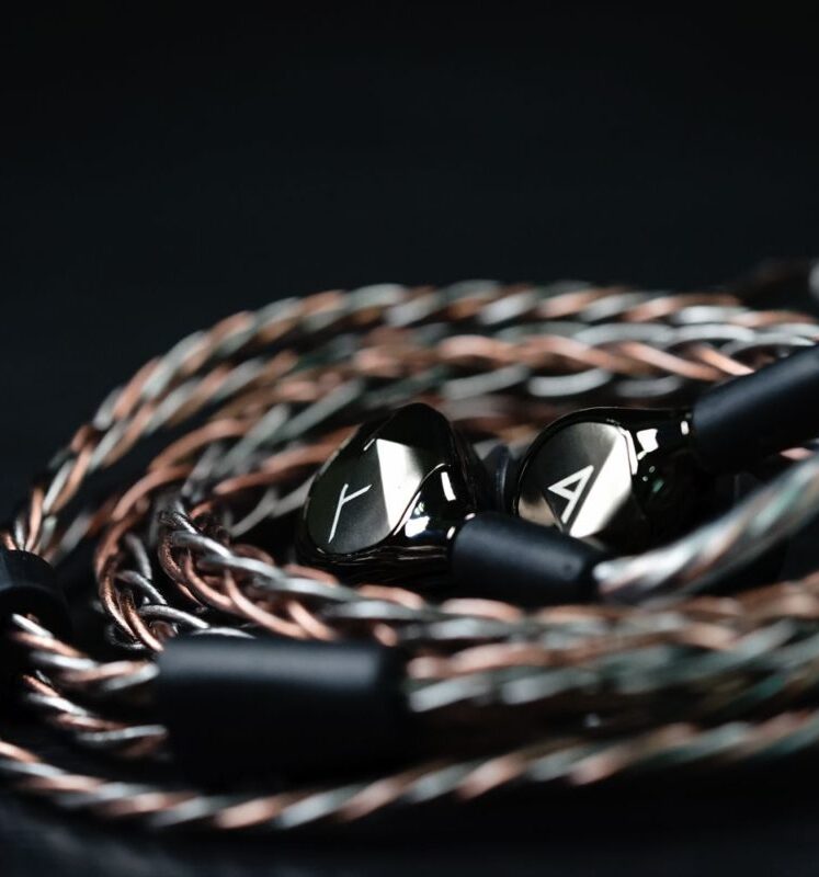 Astell&Kern AK T9iE イヤフォン AK T9iE｜Astell&Kern